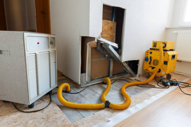 Best HVAC Mold Inspection and Cleaning  in El Jon, CA